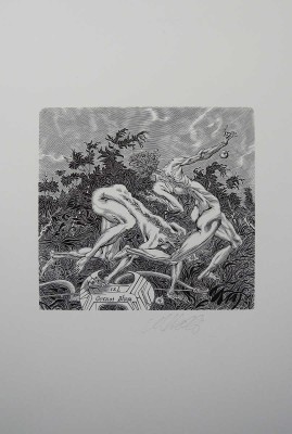 Верхоланцев М.М. 12 книжных знаков. 1990-2000-е.